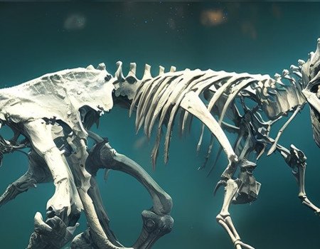 Discover Our Shattered Veil Easter Egg Guide to Complete the Main Quest in Season 3 Map Read Our Shattered Veil Easter Egg Guide