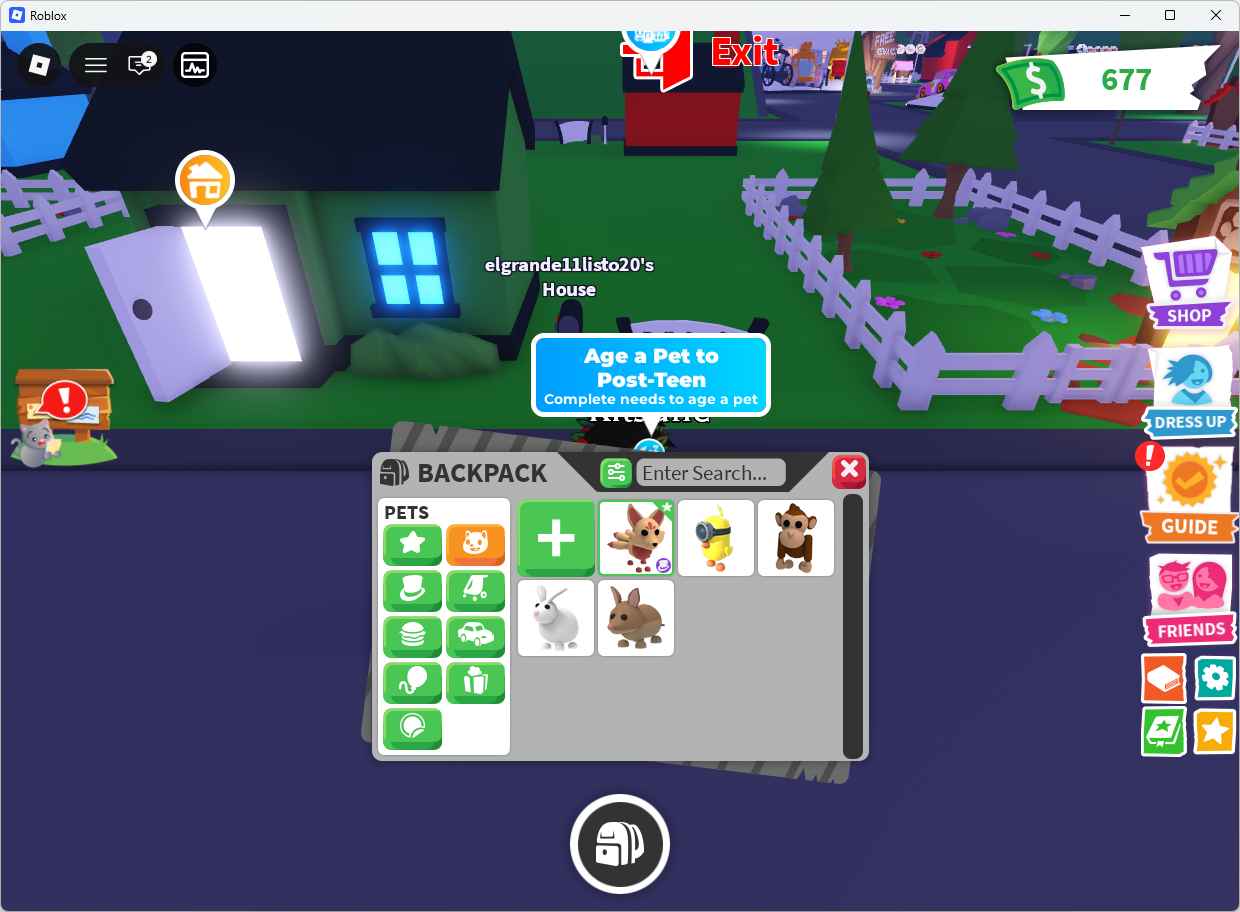 Screenshot