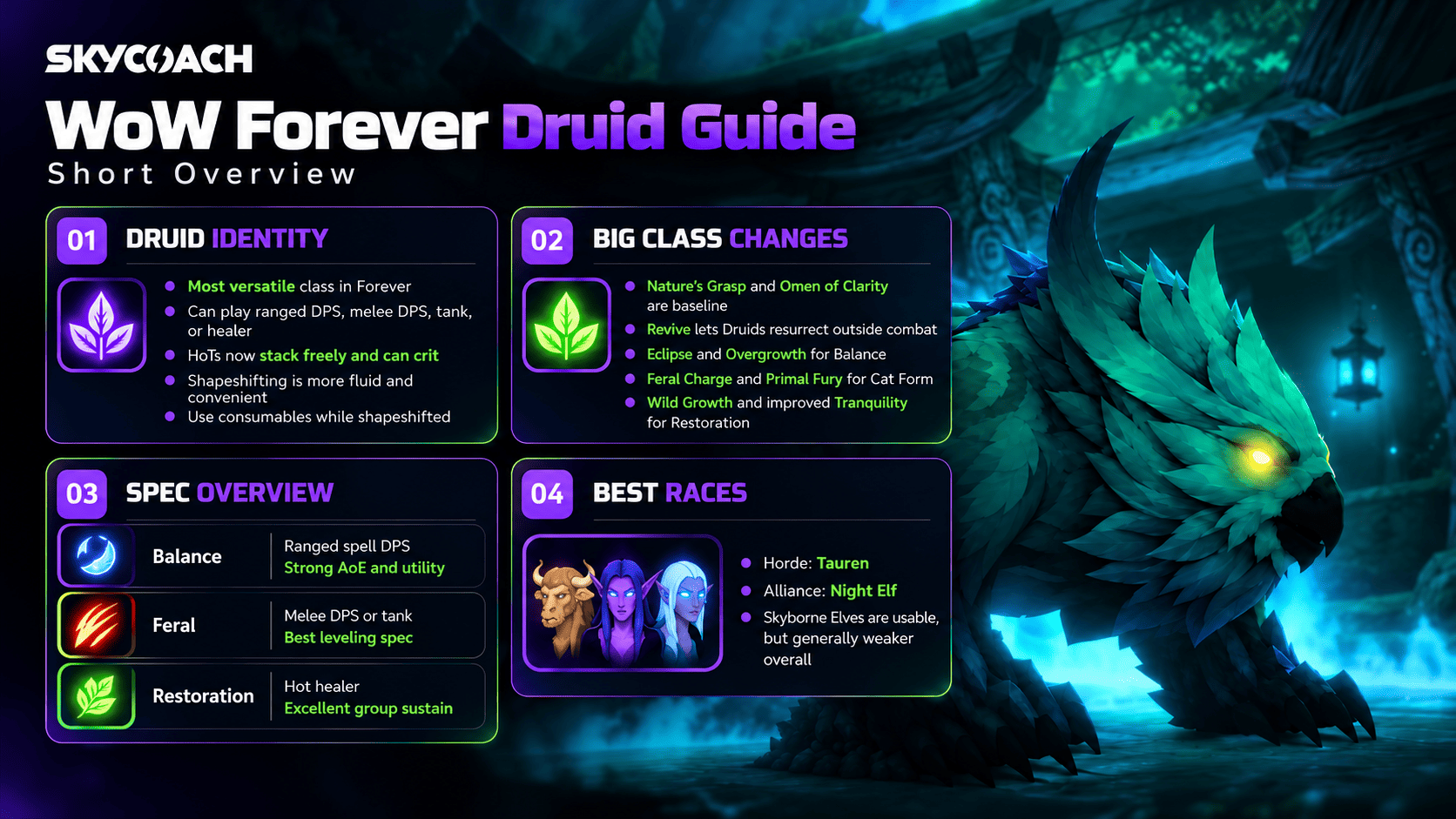 WoW Forever Druid Class Overview