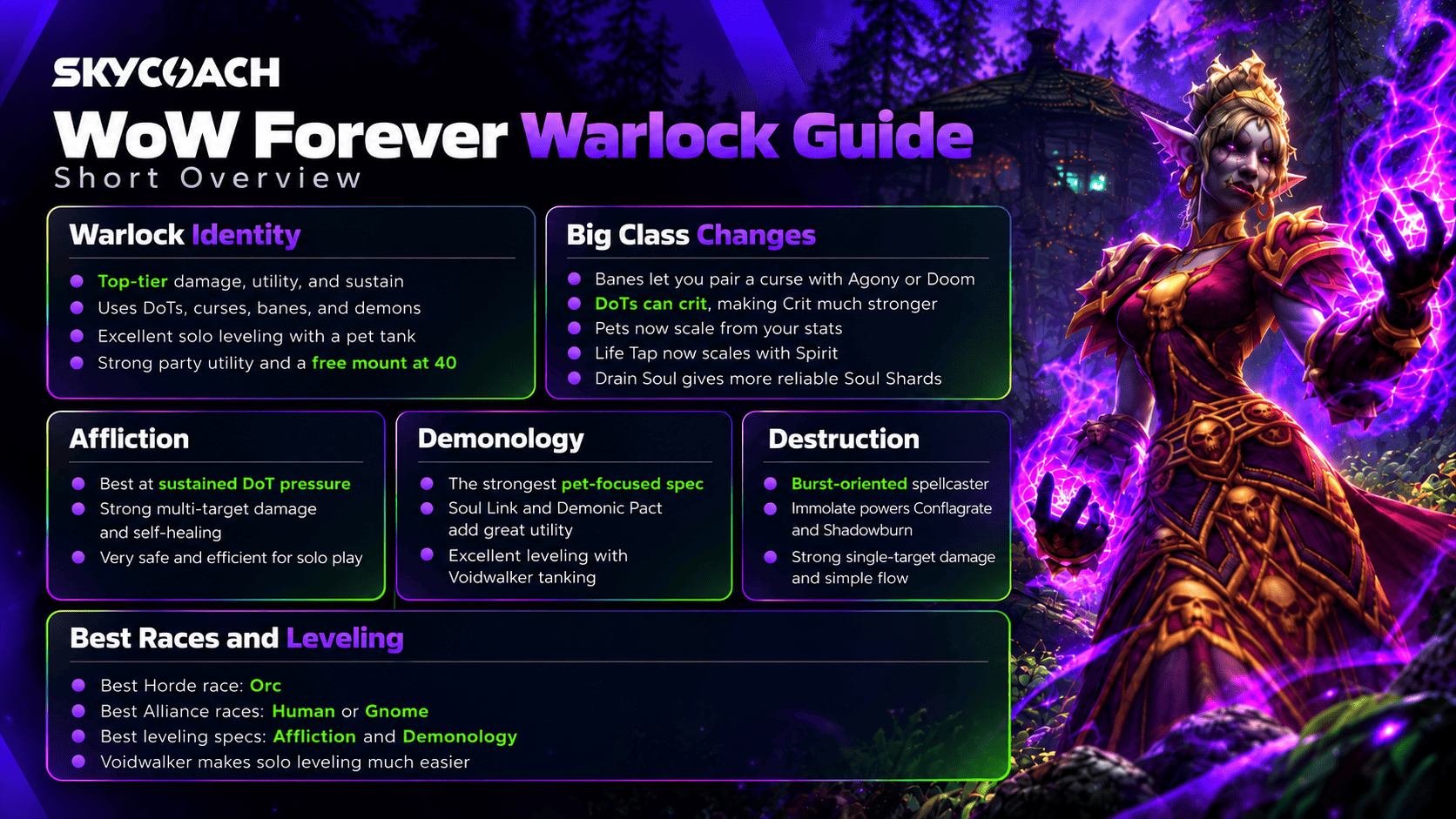 Skycoach WoW Forever Warlock Infographics