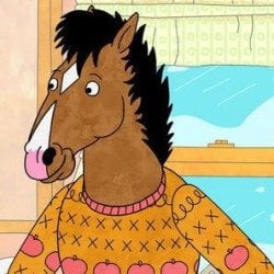 BojackStore