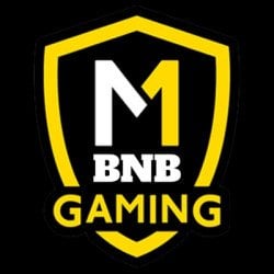 1 BNBGAMING  Team