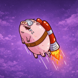 RocketPig